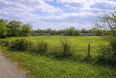 /international/us/fir-street-celeste-tx-110104974095/