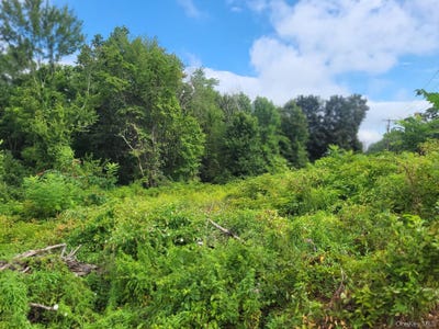 /international/us/w-nys-rte-208-highway-bona-ventura-avenue-wallkill-ny-110101665173/