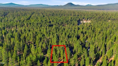 /international/us/53488-brookie-way-la-pine-or-110120620188/