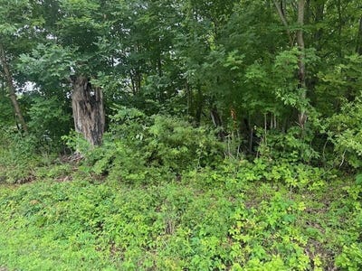 /international/us/18905-sycamore-road-mount-vernon-oh-110101475063/?lang=zh-cn