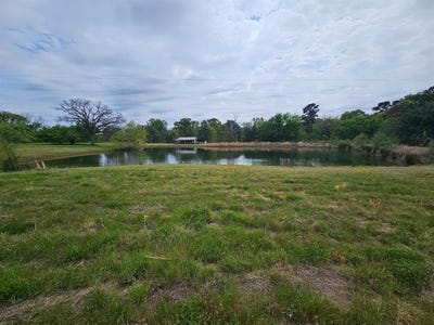 /international/us/7247-county-road-4334-larue-tx-110107228652/