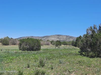 /international/us/lot-1316-anvil-rock-rd-seligman-az-110100916274/?lang=zh-tw