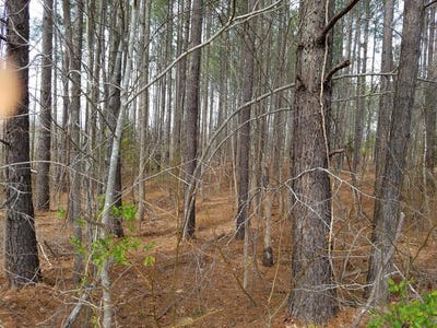 /international/us/highway-903-lot-1-littleton-nc-110100560549/