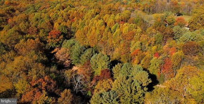 /international/us/ten-oaks-road-lot-2-dayton-md-110108615593/