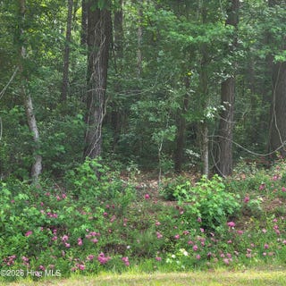 /international/us/porter-road-lot-5-a-currie-nc-110108222567/