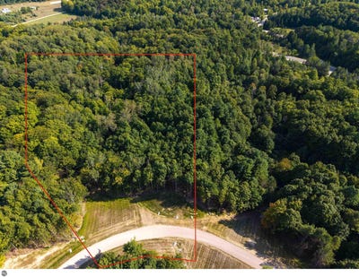 /international/us/lot-5-e-bellinger-road-cedar-mi-110101506925/