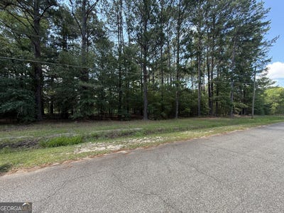 /international/us/0-fairway-lane-hawkinsville-ga-110100617840/