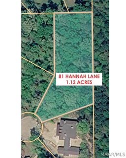 /international/us/81-hannah-lane-pike-road-al-110120553060/