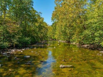 /international/us/wolf-creek-road-narrows-va-110102221477/