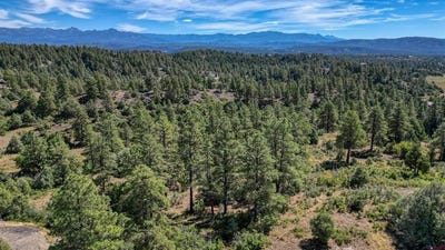 /international/us/128-s-feather-court-pagosa-springs-co-110096170353/
