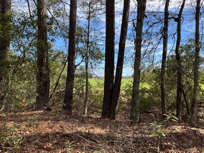 /international/us/6005-old-salkehatchie-rd-early-branch-sc-110100982663/