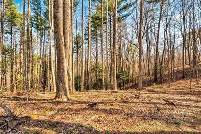 /international/us/private-drive-sugar-grove-nc-110107733426/
