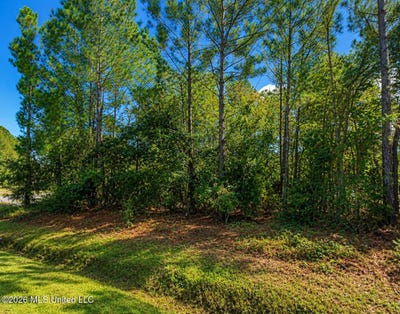 /international/us/polk-street-lot-3-waveland-ms-110109121890/