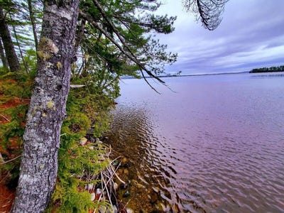 /international/us/jesses-beach-way-ellsworth-me-110107502069/