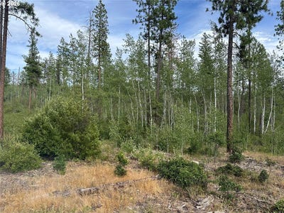 /international/us/lot-5-greyback-mtn-rd-goldendale-wa-110120017186/