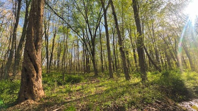 /international/us/0-state-route-772-waverly-oh-110100398473/