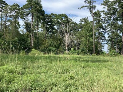 /international/us/956-nine-mile-road-milam-tx-110101114325/?lang=en