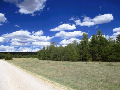 /international/us/copperweed-road-lot-5-ramah-nm-110106705400/