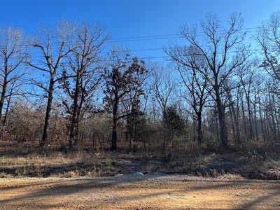 /international/us/onaga-road-lot-35-and-50-cherokee-village-ar-110104124924/