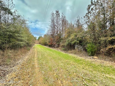 /international/us/8-county-road-3122-mccool-ms-110104993710/