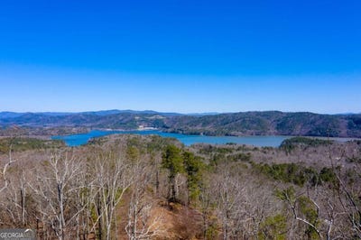 /international/us/278-carters-overlook-ranger-ga-110100942483/