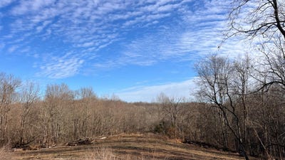 /international/us/17223-mcguire-ridge-road-laurel-in-110104850578/