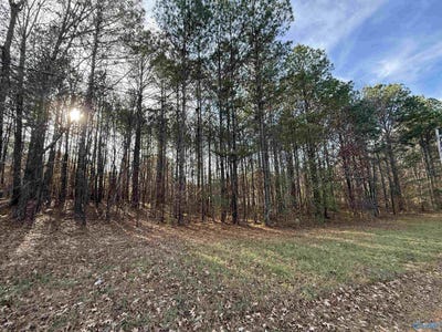 /international/us/sweetwater-lane-lot-20-rainbow-city-al-110104192618/