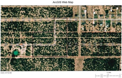 /international/us/stone-meadow-lane-san-angelo-tx-110101678816/
