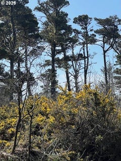 /international/us/18th-st-sw-bandon-or-110106613239/