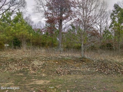 /international/us/lot-15-strickland-farms-byhalia-ms-110099870369/?lang=es