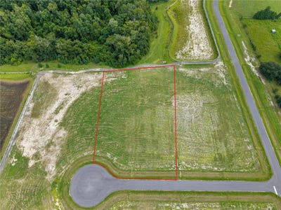 /international/us/nw-101st-way-lot-20-alachua-fl-110120028172/