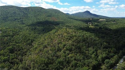 /international/us/1541-1345-nc-highway-89-w-danbury-nc-110120040871/