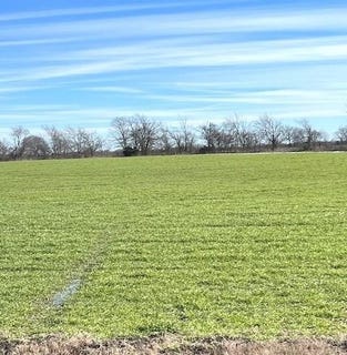 /international/us/7-2ac-farm-road-824-roxton-tx-110097478582/