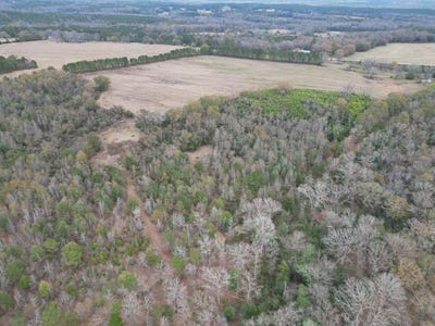 /international/us/county-road-91-banks-al-110104192846/