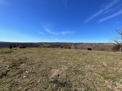 /international/us/594-county-road-873-thornfield-mo-110104956488/