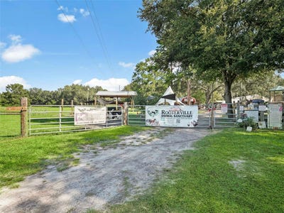 /international/us/1208-n-county-road-315-melrose-fl-110090173907/