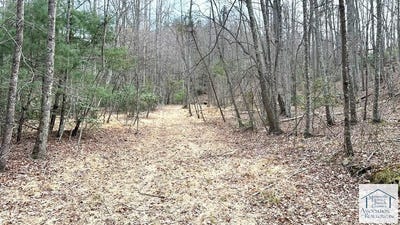 /international/us/old-hall-ridge-rd-stuart-va-110106701454/