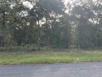 /international/us/00-se-139th-terr-lot-11-morriston-fl-110094726222/