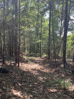 /international/us/0-fools-acre-rd-jackson-al-110101089772/