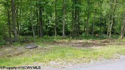 /international/us/209-woodside-lane-bridgeport-wv-110082721748/