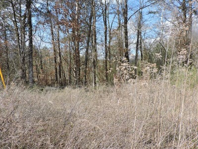 /international/us/tbd-off-hwy-28-east-parks-ar-110106301269/