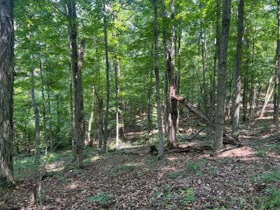 /international/us/0-thomas-road-laurelville-oh-110100620188/