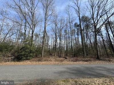 /international/us/park-ave-lot-8a-white-plains-md-110106753453/