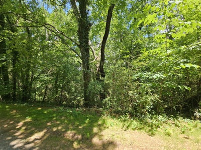 /international/us/michael-way-newport-tn-110108538292/