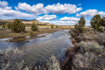 /international/us/tl3400-camp-creek-road-prineville-or-110097109079/