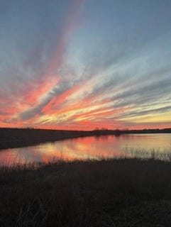 /international/us/2077-b-shawver-road-perrin-tx-110099329930/