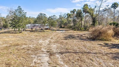 /international/us/hwy-361-steinhatchee-fl-110105076444/