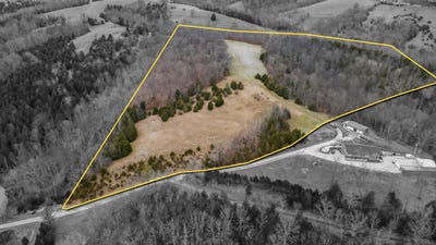 /international/us/hogg-ridge-road-williamstown-ky-110106529371/