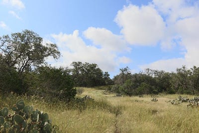 /international/us/pr-2491-hondo-tx-110094788109/
