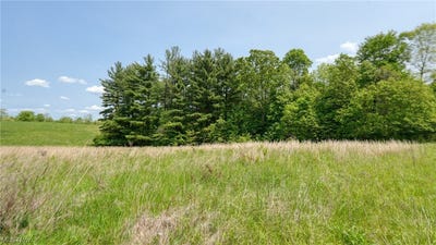 /international/us/63660-wintergreen-road-lore-city-oh-110084710940/?lang=en